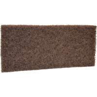 Coarse Scrub Pad, 10" L x 4-1/2" W Fastek