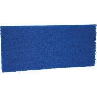 Medium Scrub Pad, 10" L x 4-1/2" W Fastek