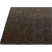 Tapis dint&eacute;rieur Palliser, Essuie-pieds/grattoir, 6-1/2' x 82' x 5/16", Anglis Fastek