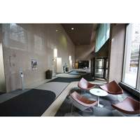 Tapis dentr&eacute;e Supreme Knob, Essuie-pieds/grattoir, 6-1/2' x 75-1/2' x 7/16", Charbon Fastek