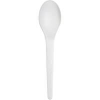 Plantware Renewable and Compostable Spoon Fastek