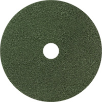 Black Diamond 3000 Floor Pad, 8", Cleaning/Polish, Green Fastek
