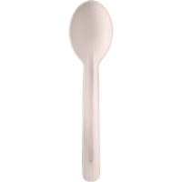 Bagasse Compostable Spoons JQ132 | Fastek