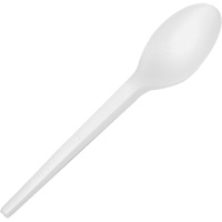 CPLA Compostable Spoons Fastek