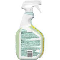 CloroxPro Clorox EcoClean Disinfecting Cleaner, 946 ml, Trigger Bottle Fastek