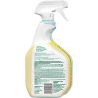 CloroxPro Clorox EcoClean All-Purpose Cleaner, 946 ml, Trigger Bottle Fastek