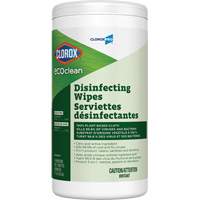 Lingettes d&eacute;sinfectantes EcoClean, 75 lingettes Fastek