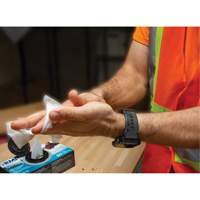 Individually Wrapped Cleaning Wipes, 12 Wipes, 8" x 9-1/2" Fastek