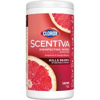 Lingettes d&eacute;sinfectantes, 75 lingettes Fastek