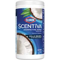 Lingettes d&eacute;sinfectantes, 75 lingettes Fastek