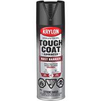 Tough Coat&reg; Advanced Paint with Rust Barrier Technology, Black, High-Gloss, 425 g, Aerosol Can Fastek