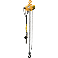 Budgit&reg; Air Chain Hoists Fastek