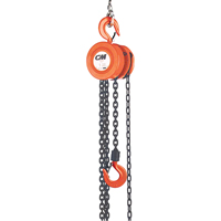 Manual Chain Hoists
