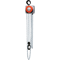Hurricane 360° Chain Hoist, 10' Lift, 1000 lbs. (0.5 tons) Capacity, Steel Chain Fastek