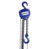 Chain Hoist, 10' Lift, 2000 lbs. (1 tons) Capacity, Load Chain Grade 80 Chain LU646 | Fastek