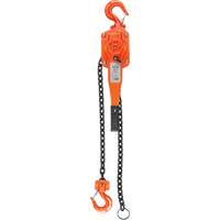 Lever Hoist, 10' Lift, 1500 lbs. (0.75 tons) Capacity, Alloy Steel Chain Fastek
