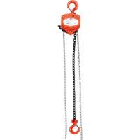Chain Hoist, 10' Lift, 10000 lbs. (5 tons) Capacity, Alloy Steel Chain Fastek