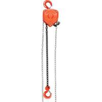 Chain Hoist, 10' Lift, 10000 lbs. (5 tons) Capacity, Alloy Steel Chain Fastek