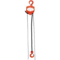 Chain Hoist, 20' Lift, 1000 lbs. (0.45 tons) Capacity, Alloy Steel Chain Fastek