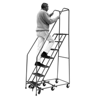 All Directional Ladders, 6 Steps, 16" Step Width, 60" Platform Height, Steel Fastek