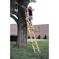 Industrial Heavy-Duty Extension Ladders (6200 Series), 375 lbs. Cap., 13' H, Grade 1AA Fastek