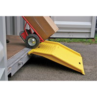 Portable Poly Shipping Container Ramp, 750 lbs. Capacity, 35" W x 36" L MO113 | Fastek