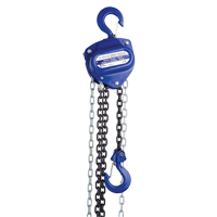 Chain Hoist, 10' Lift, 1000 lbs. (0.5 tons) Capacity MO259 | Fastek