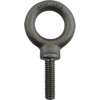Alloy Steel Eye Bolt, 1" Dia., 1-1/4" L, 1480 lbs. (0.74 tons)/1480 lbs. Capacity Fastek