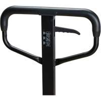 Steel Wheel Pallet Truck, Steel, 48" L x 27" W, 5500 lbs. Capacity Fastek