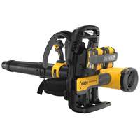 Ensemble souffleur dorsal sans balais et sans fil MAX*, 60 V, &agrave; pile Fastek