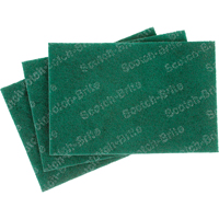 Tampons manuels Scotch-Brite, 9" lo x 6" la Fastek