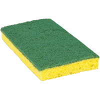 Scotch-Brite™ Medium Duty Scrub Sponge, Scrubbing, 3-3/5" W x 6-1/10" L NC873 | Fastek
