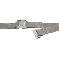 Logistic Straps, Cam Buckle, 2" W x 12' L, 835 lbs. (379 kg) WLL Fastek