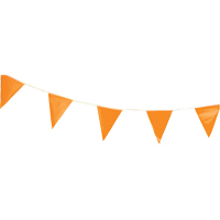 Pennants, 60' L, Orange Fastek