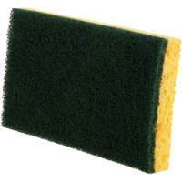Utility Sponges, Cellulose, 6" W x 3-1/2" L Fastek