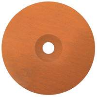 Coolcut XX Sanding Disc, Aluminum Oxide/Ceramic, 24, 7" Dia x 7/8" Arbor Fastek
