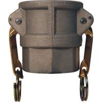 Global Cam & Groove Coupler, Aluminum, Type D, 2", Female NPT, 250 PSI Fastek