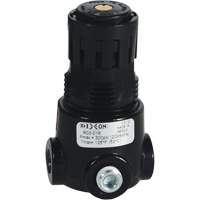 Wilkerson Miniature Regulator R03, 1/8" NPT, 300 psi Max. PSI, Standard Fastek