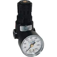 Wilkerson Miniature Regulator R04, 1/4" NPT, 300 psi Max. PSI, Standard Fastek