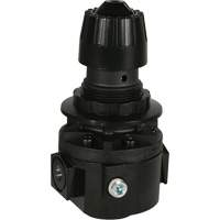 Wilkerson Regulator R26, 3/8" NPT, 300 psi Max. PSI, Standard Fastek