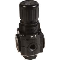 Series 1 Manifold Regulator, 1/4" NPT, 150 PSI Max. PSI, Standard Fastek