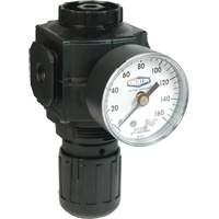 Series 1 Compact Regulator, 1/2" NPT, 150 PSI Max. PSI, Standard Fastek