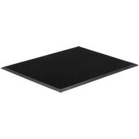 Tapis Gritstop Fingermat, Caoutchouc, Grattoir Type, Motif Textur&eacute;, 2' x 2-2/3', Noir Fastek