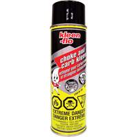 Choke & Carb Kleen Carburetor Cleaner Fastek