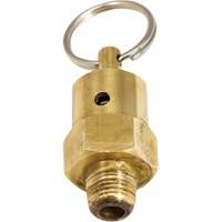 Viton&reg; Pressure Relief Valve Fastek