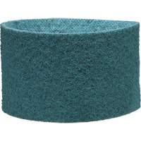 Scotch-Brite Surface Conditioning Belt Fastek