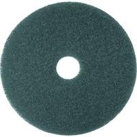 Cleaner Pad, 13", Scrubbing, Blue Fastek