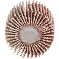 Flap Disc 747D, Aluminum Oxide/Ceramic, 80 Grit, 1" x 1" x 1/4" Fastek