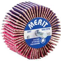 Threaded Mini Flap Wheel, Ceramic Alumina, 40 Grit, 2" x 1" x 1/4"-20 Fastek