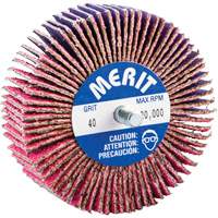 Threaded Mini Flap Wheel, Ceramic Alumina, 40 Grit, 3" x 1" x 1/4"-20 Fastek